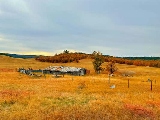 TBD KIMBALL ROAD, ALADDIN, WY 82710 - Image 1