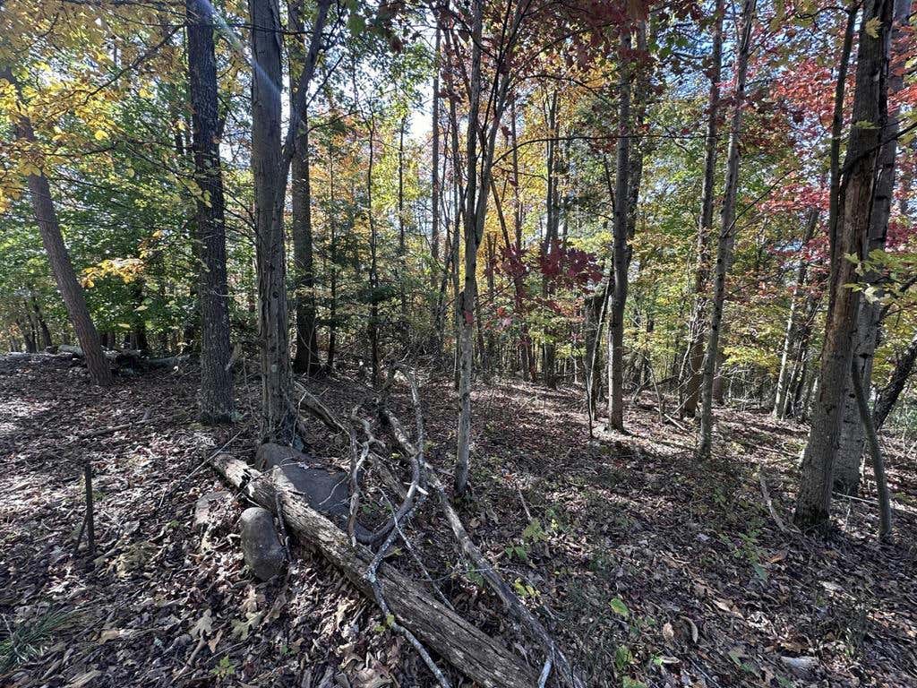 LOT 58 BEE TREE DR., PETERSTOWN, WV 24963, photo 1 of 6