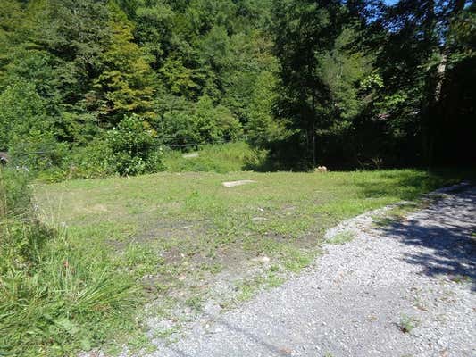 00 SHAFT HOLLOW RD, WAR, WV 24892 - Image 1