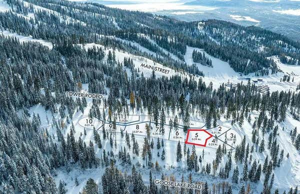 LOT 5 NORTH LOOP ROAD, MCCALL, ID 83638 - Image 1