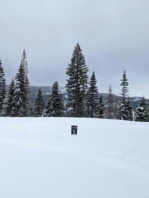 LOT 5 NORTH LOOP ROAD, MCCALL, ID 83638 - Image 1