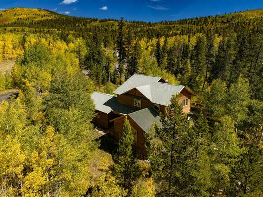 228 GLACIER RIDGE RD, ALMA, CO 80420 - Image 1