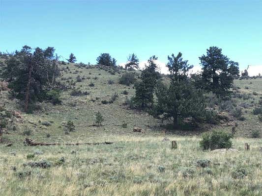 123 CAMPFIRE RD, HARTSEL, CO 80449 - Image 1