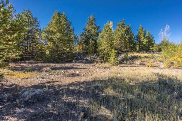 TBD TBD, LEADVILLE, CO 80461 - Image 1