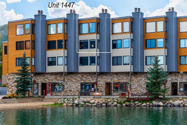 167 ARGENTINE CT # 1447, KEYSTONE, CO 80435 - Image 1