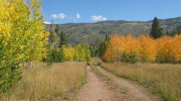 000 SPRINGBOARD TRAIL, OAK CREEK, CO 80467 - Image 1