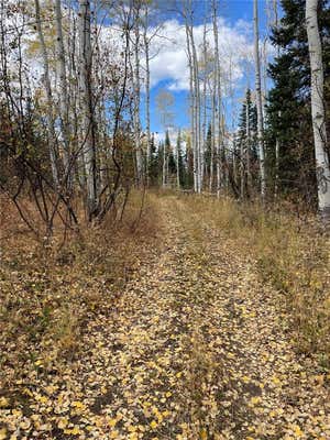 TBD COLT TRAIL, OAK CREEK, CO 80467 - Image 1