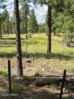 3101 W SACRED MOUNTAIN RD LOT 1, FLAGSTAFF, AZ 86001 - Image 1