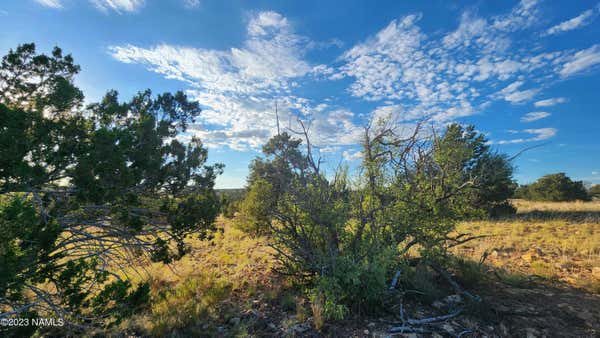 5854 S ESTRELLA RD, WILLIAMS, AZ 86046, photo 2 of 26