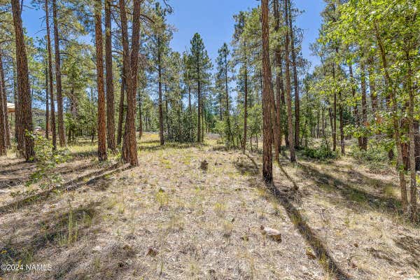 1023 STONE HOLLOW LOOP, WILLIAMS, AZ 86046 - Image 1