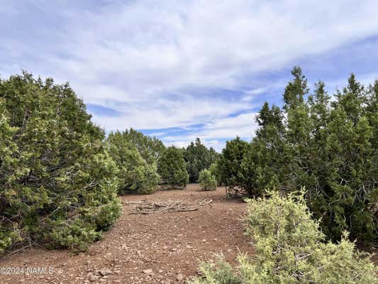 8196 FOREST SERVICE 510B RD, FLAGSTAFF, AZ 86004, photo 2 of 17