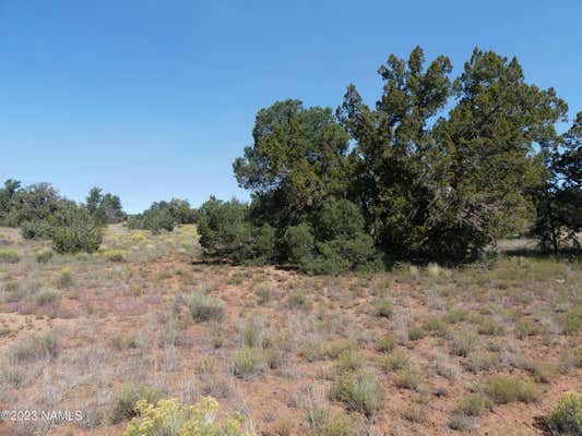 2115 S KAIBAB RD # 108, WILLIAMS, AZ 86046 - Image 1