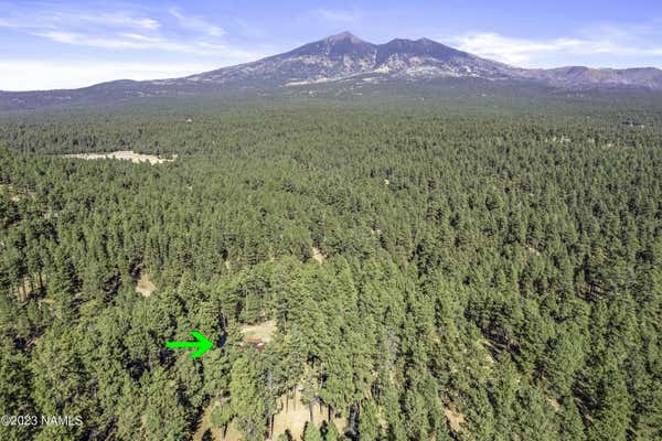 5257 HIDDEN HOLLOW RD, FLAGSTAFF, AZ 86001, photo 3 of 64