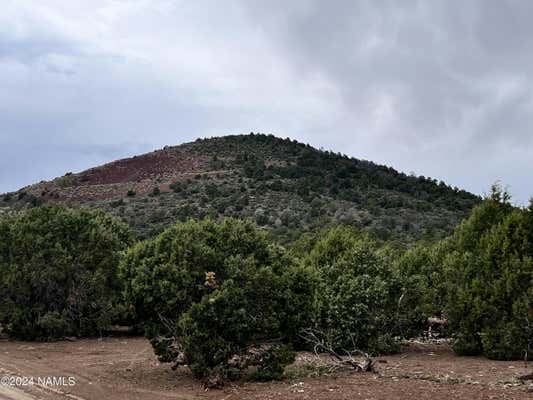 8196 FOREST SERVICE 510B RD, FLAGSTAFF, AZ 86004, photo 5 of 17