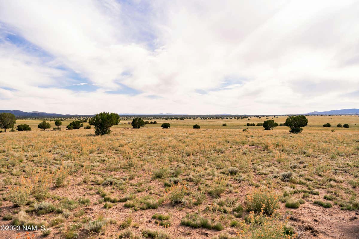 000-B2 KIRBY LANE PARCEL B2 LANE, ASH FORK, AZ 86320, photo 1 of 15