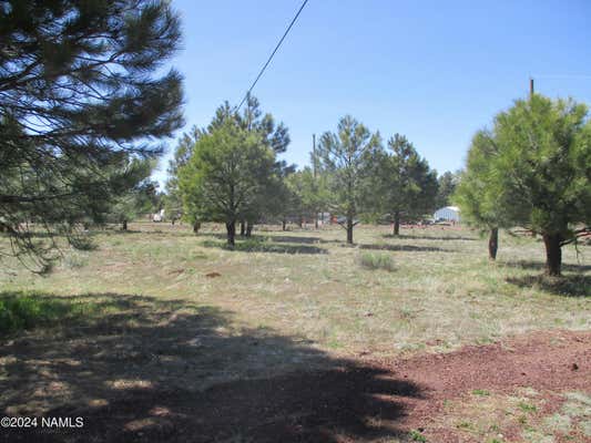 6389 E DEER FARM RD, WILLIAMS, AZ 86046, photo 5 of 26