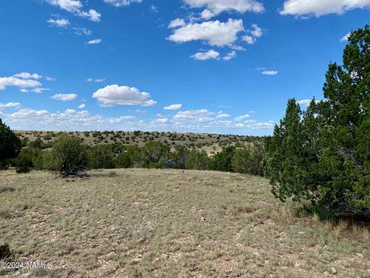 5733 W CLOVE HITCH RD # 356, WILLIAMS, AZ 86046 - Image 1