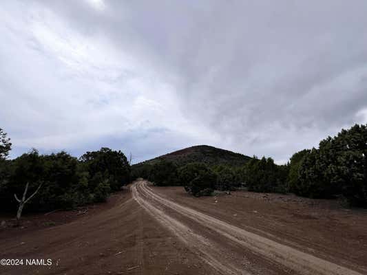 8196 FOREST SERVICE 510B RD, FLAGSTAFF, AZ 86004, photo 4 of 17