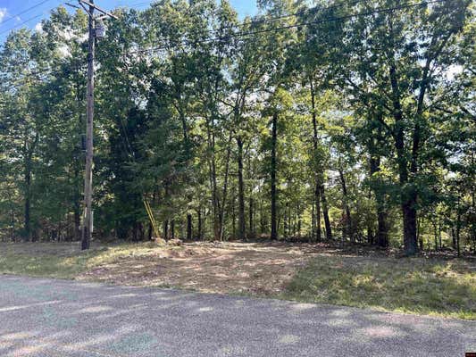 703 COUNTY ROAD 19, MOUNTAIN HOME, AR 72653, photo 2 of 6