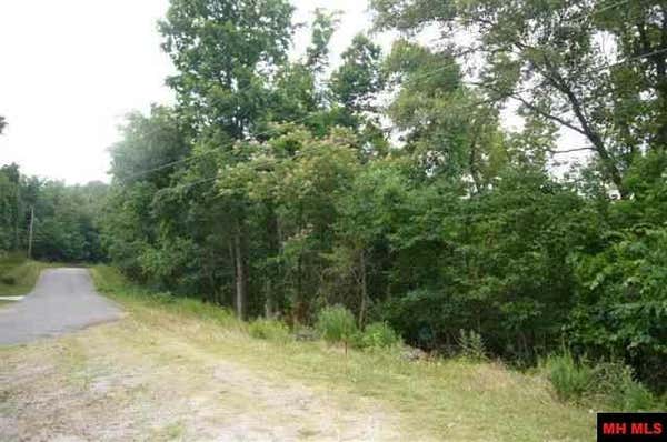 LOTS 17 & 161 COUNTRY CLUB DRIVE, BULL SHOALS, AR 72619 - Image 1