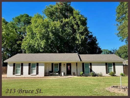 213 BRUCE ST, BATESVILLE, MS 38606 - Image 1