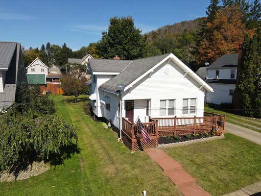 217 CHESTNUT ST, PORT ALLEGANY, PA 16743 - Image 1