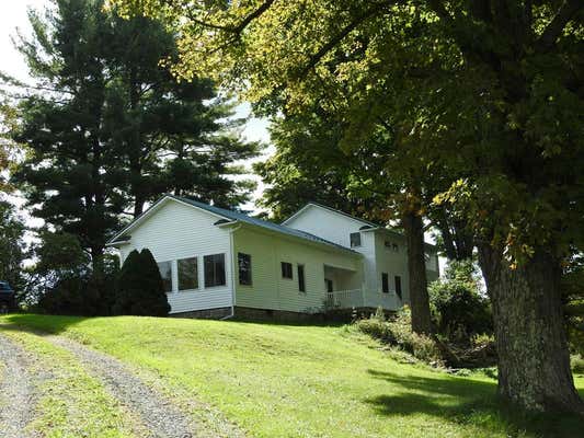 213 SWEET BRIAR RD, WELLSBORO, PA 16901 - Image 1