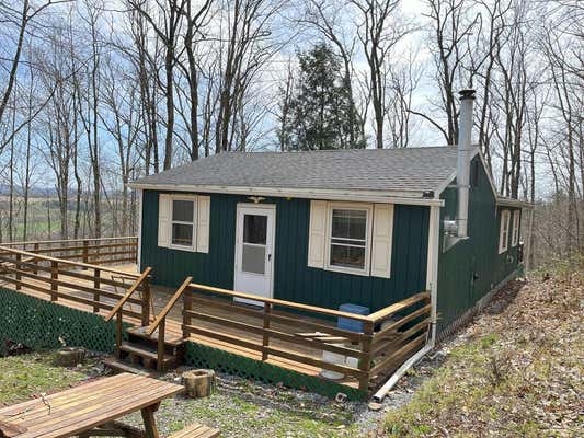 1227 MOUNT TOM LN, WELLSBORO, PA 16901 - Image 1