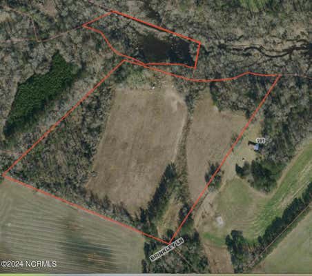 0000 BRINKLEY LANE, WATHA, NC 28478 - Image 1