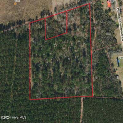 11.5 ACRES ERNEST VALERIA LANE, WILLARD, NC 28478 - Image 1