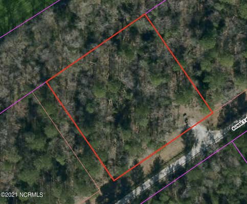 LOT 6 1.01 ACRES SUNSET AVENUE, WILLARD, NC 28478 - Image 1