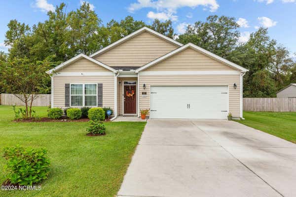 327 TINA MAE DR, VANCEBORO, NC 28586 - Image 1