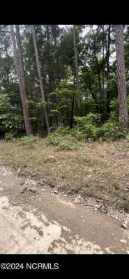 LOT 23 CEDAR LANE # 23, EAGLE SPRINGS, NC 27242 - Image 1