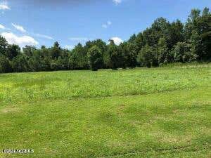 27 EAGLE VIEW LN, BLOUNTS CREEK, NC 27814 - Image 1