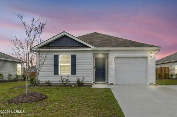 204 CLEAT DR, SURF CITY, NC 28445 - Image 1