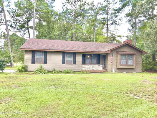 12540 PINEVIEW DR, LAURINBURG, NC 28352 - Image 1