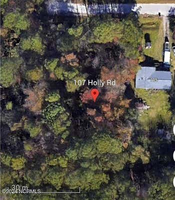 107 HOLLY STREET ROAD, CASTLE HAYNE, NC 28429 - Image 1