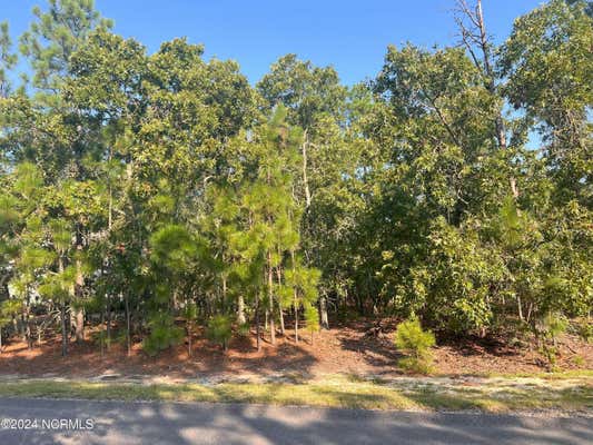 190 LONGLEAF DR, WEST END, NC 27376 - Image 1