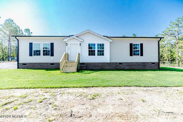 175 MICKEY ROUSE LN, CAMERON, NC 28326 - Image 1