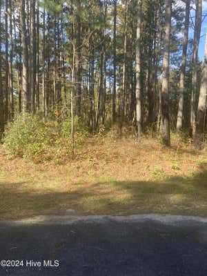 LOT 67 BUCKNELL LANE, LAURINBURG, NC 28352 - Image 1