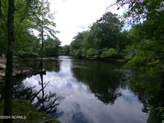 NEAR 221 CAUSEY ROAD, FAIR BLUFF, NC 28439 - Image 1