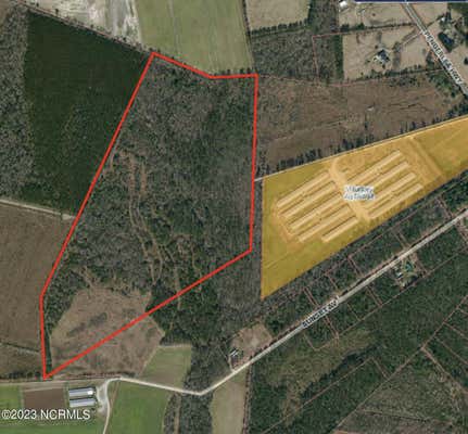 61.5 ACRES PENDERLEA HIGHWAY, WILLARD, NC 28478 - Image 1