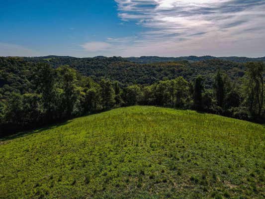 TBD TULIP LANE, FAIRMONT, WV 26554 - Image 1