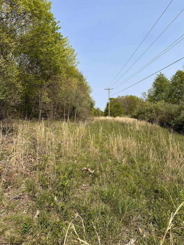 LOT C SAND BANK ROAD, MASONTOWN, WV 26542, photo 1 of 19