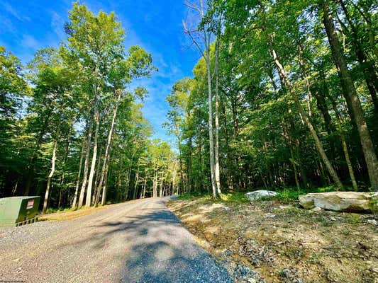 LOT 25 WHISKEY WOODS LANE, BRUCETON MILLS, WV 26525 - Image 1