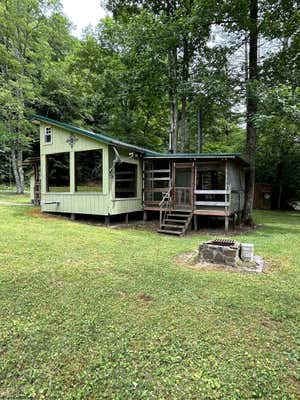 TBD CLOVER RUN ROAD, PARSONS, WV 26287 - Image 1