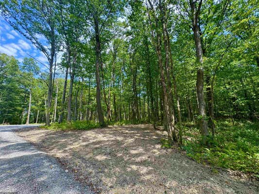 LOT 23 WHISKEY WOODS LANE, BRUCETON MILLS, WV 26525 - Image 1