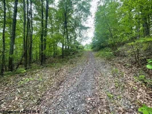 TBD GEE LICK ROAD, WESTON, WV 26452 - Image 1