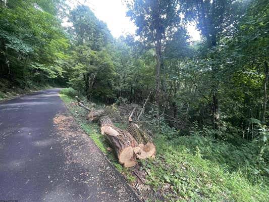 TBD KUMBRABOW FOREST ROAD, HUTTONSVILLE, WV 26273, photo 2 of 27