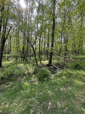 LOT C SAND BANK ROAD, MASONTOWN, WV 26542, photo 4 of 19